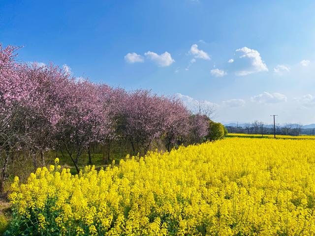 u=2811728317,168525912&fm=30&app=106&f=JPEG.jpg u=2811728317,168525912&fm=30&app=106&f=JPEG.jpg