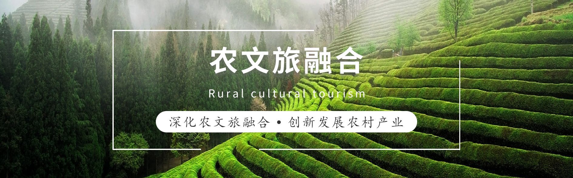 圖片1.jpg 圖片1.jpg